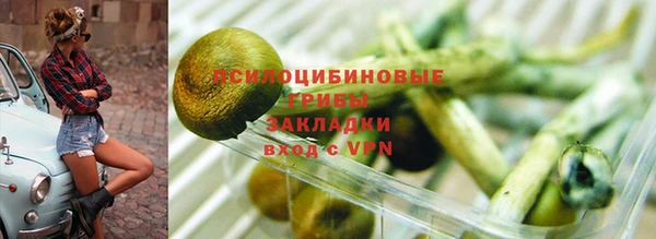 спайс Алзамай