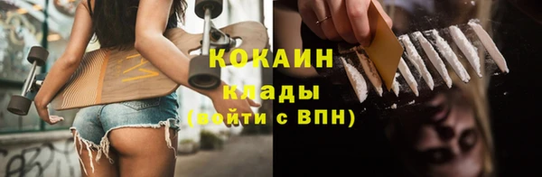 соль ск Алексин