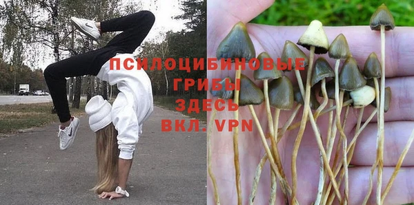 спайс Алзамай