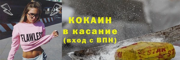 соль ск Алексин