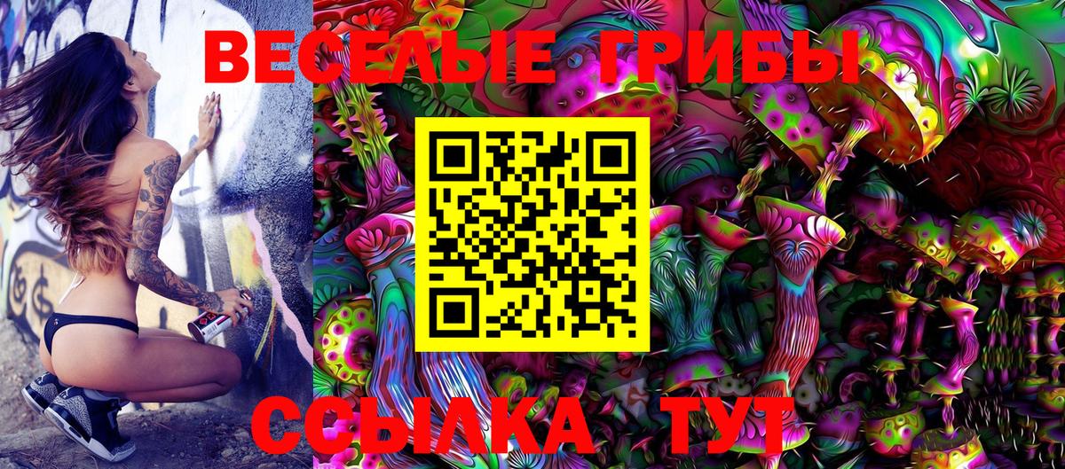 Ухта  Псилоцибиновые грибы Cubensis  где продают   Псилоцибиновые грибы ЛСД  Вход с VPN 